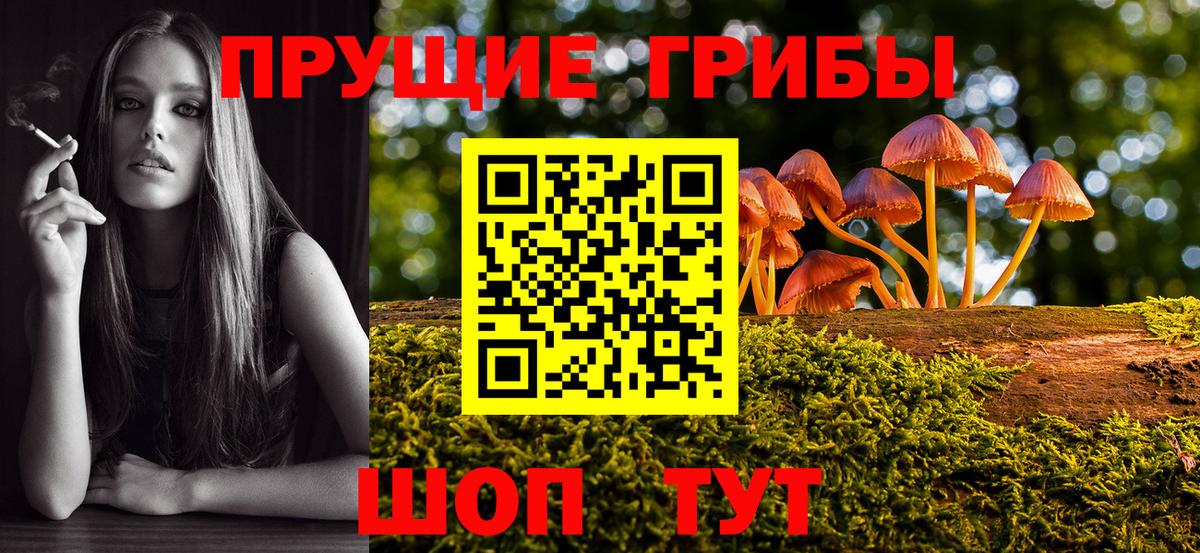 Псилоцибиновые грибы прущие грибы  Вход с VPN  Юрга 