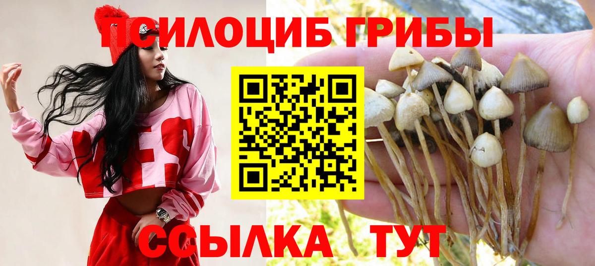 Галлюциногенные грибы Psilocybine cubensis Юрга