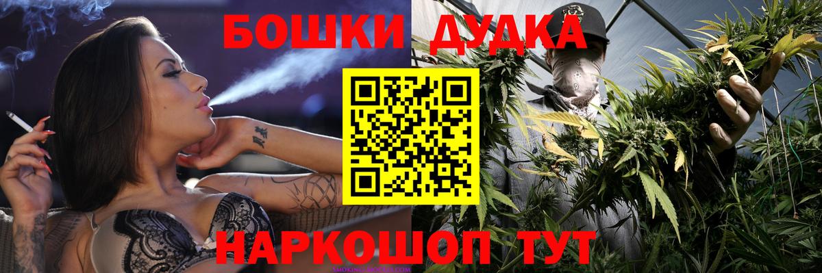 Конопля сатива Юрга